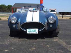 Shelby_1 small