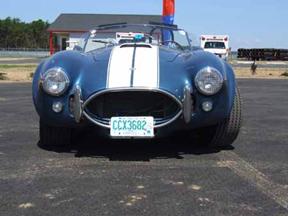 Cobra_1 small