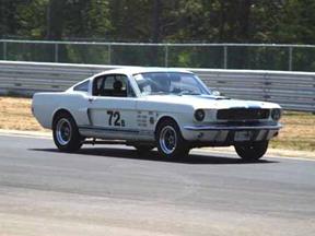 Shelby_72B small
