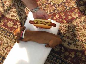 2_Hot_Dogs small