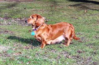 Sabrina_6 small