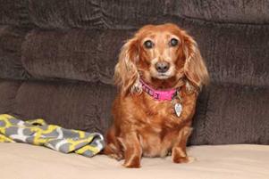Sabrina_11 small