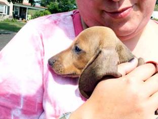 Baby_Shelby_4 small