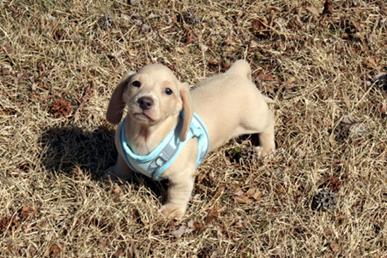 Willie_Lane_24 small